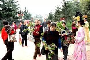 九月九日重阳节 