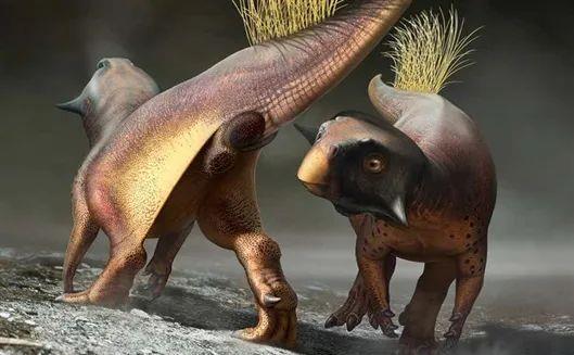 恐龙如何 谈恋爱 现存唯一的恐龙化石告诉你