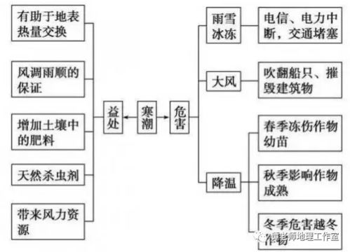 最有可能的高考热考点是寒潮,下面从地理总结知识点