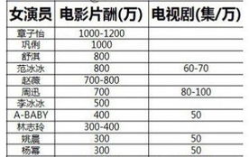 网曝国内明星高片酬 业内人士 基本属实 