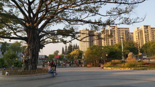 深圳公明的下村公园,一个风景秀美的公园,来了就喜欢上的公园