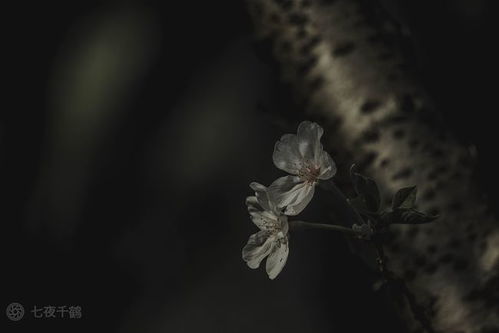 在爱情中,无比自私的几个星座,感情里算计得很细