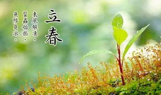 立春节气的诗词(立春节气相关的诗句)