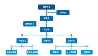 会计结构组织形式有哪三种？