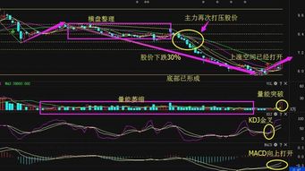 股票机构推荐的股票有什么猫腻