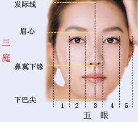 额头饱满度决定运势好坏 自体脂肪丰额头