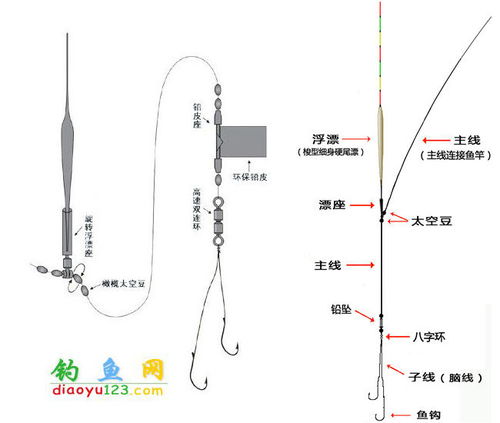 优惠券 十大品牌排行榜 哪个牌子好 元珍商城 