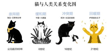 吸猫引导的新兴文化潮流 中国猫次元经济现象研究 
