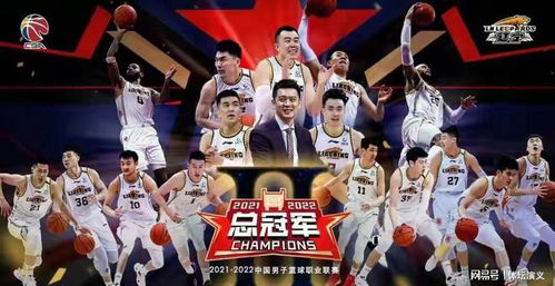 2022年辽宁男篮门票在哪订(cba沈阳赛区购票时间) 第1张