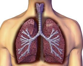 中医治肺纤维化有什么方法