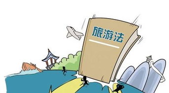 旅游法旅行社责任险