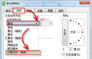 wps中 word里 文字怎么分散对齐 求详细路径 