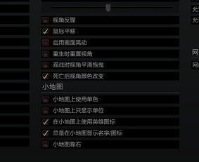 dota2让小地图上的英雄名字发光 