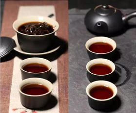 安化黑茶普洱茶区别,均属黑茶的普洱茶和安化黑茶有什么区别