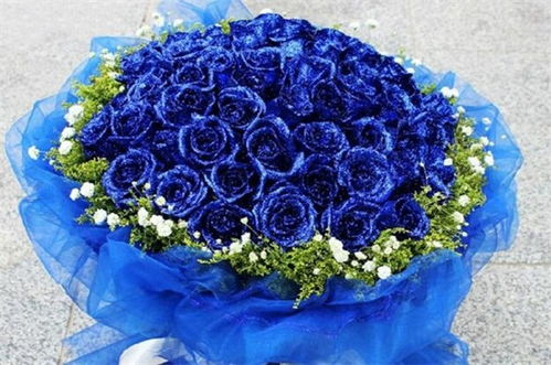 蓝玫瑰花语,蓝玫瑰的花语是什么啊？