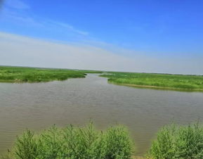 七里海管委会联合公安机关开展专项行动 严厉打击破坏湿地违法违规行为
