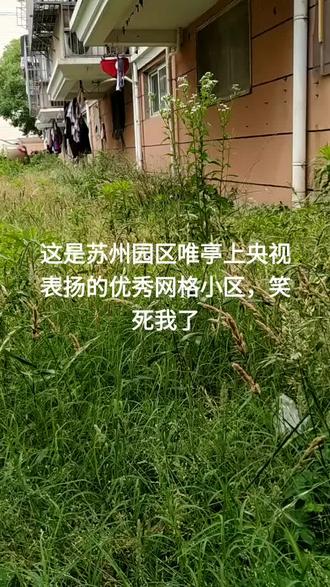 怎么查小区停车收费标准(苏州如何查询停车场收费标准)