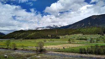 西藏旅游 夏天进藏有一点不好 冬天能不能西藏旅行 