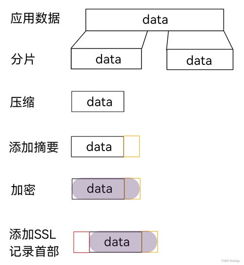 ssl协议是什么(TLS和SSL协议什么意思)