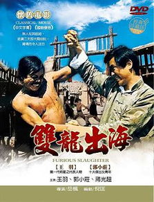 王羽 Yu Wang的演出作品 86 