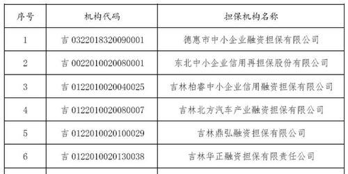 吉林省公布融资担保公司名单