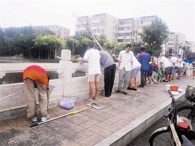 雨中河鱼翻坑有人趁机撒网 