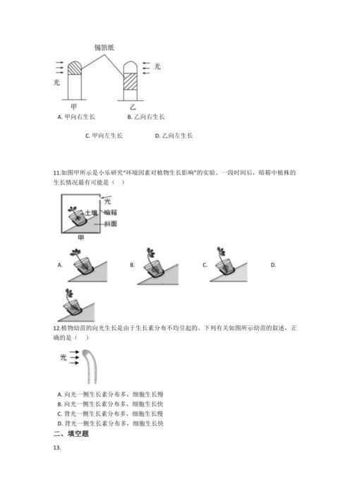 3.1植物生命活动的调节 同步练习 含解析 