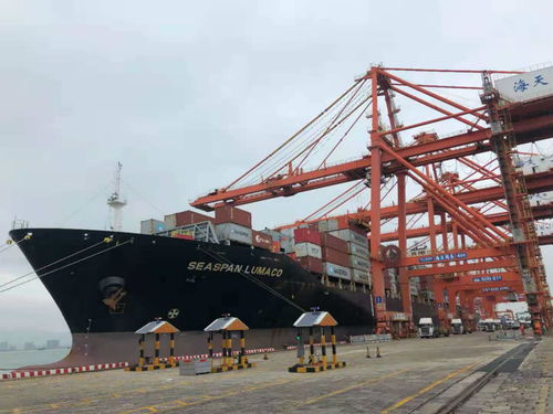 厦门港迎来今年第1000艘次 丝路海运 命名航线船舶 