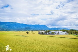 池上乡 池上乡风景区,池上乡旅游攻略指南 