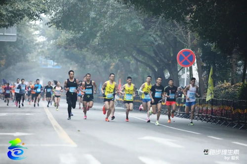 马拉松怎么跑 这些干货送给 新马友