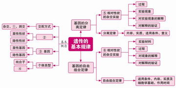 结合自身制定合理的职业规划