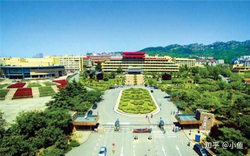 青岛大学录取分数线2023，华中科大武昌分校几本