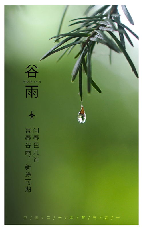 暮春谷雨