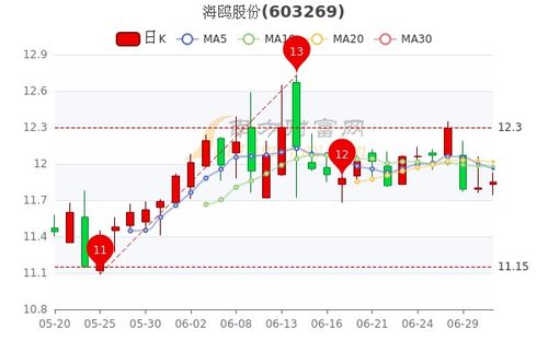 海鸥股份