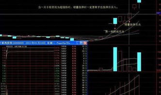 为什么散户总抓不到涨停