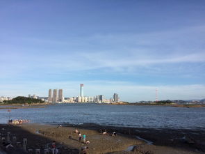 大厦门,海沧 海边