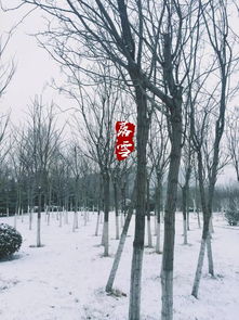 济南大雪,济南大学是一本吗(图2)