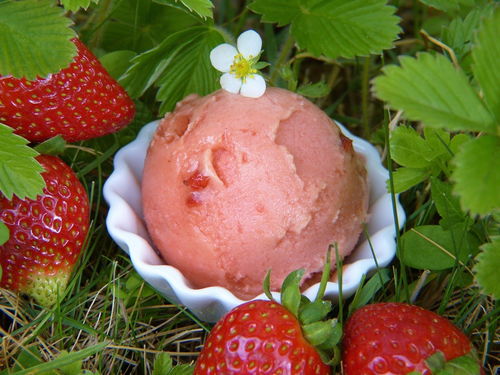 草莓球怎么弄好看又简单，冰淇淋球怎样装饰好看(草莓冰淇淋绣球)