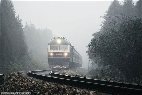 浙江最美铁路将重启 不必去镰仓,家门口就能坐着火车穿过风景穿越时光