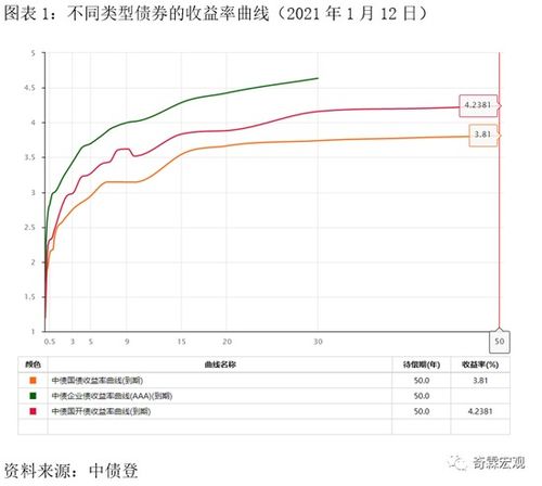 哪里可以查询每天债券收益率？