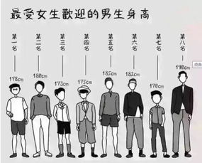 中国男生身高多高最好