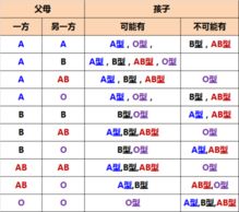 父亲是AB型血母亲是B型血生的孩子会是熊猫血吗 