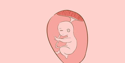 原创为什么有些胎宝，到了晚上“胎动”变得频繁？或许看完你就知道了