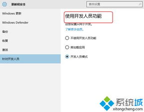 win10开发者信息在哪里设置