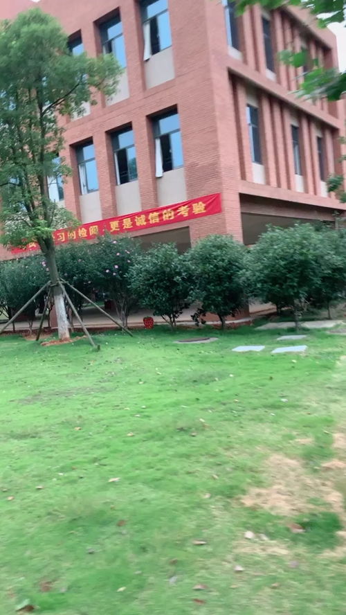 湖北师范大学文理学院是本科吗(图1)