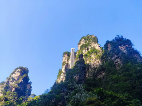 五一张家界森林公园一日半行程 