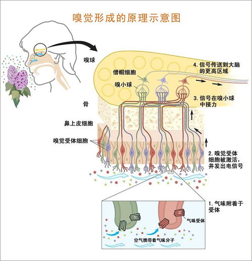 茶香百种,引人醉