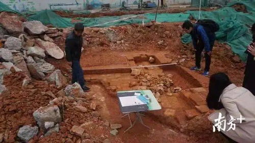 中山大学校园疑挖出古墓 考古系师生忙挖掘