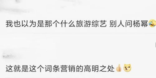 赵丽颖戏里内涵杨幂 金晨病态节食 谐星私下脾气臭