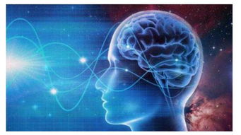 脑电波是怎么被发现的,和很多伟大的发现一样,源于人类的好奇心
